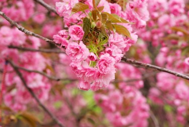 苏州线下个人借款平台一站式服务，轻松解决资金难题