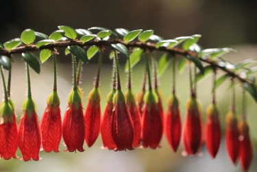 苏州零用贷短借：轻松解决临时资金需求