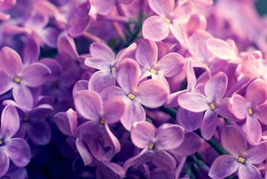 苏州企业急用钱贷款攻略：快速融资解燃眉之急